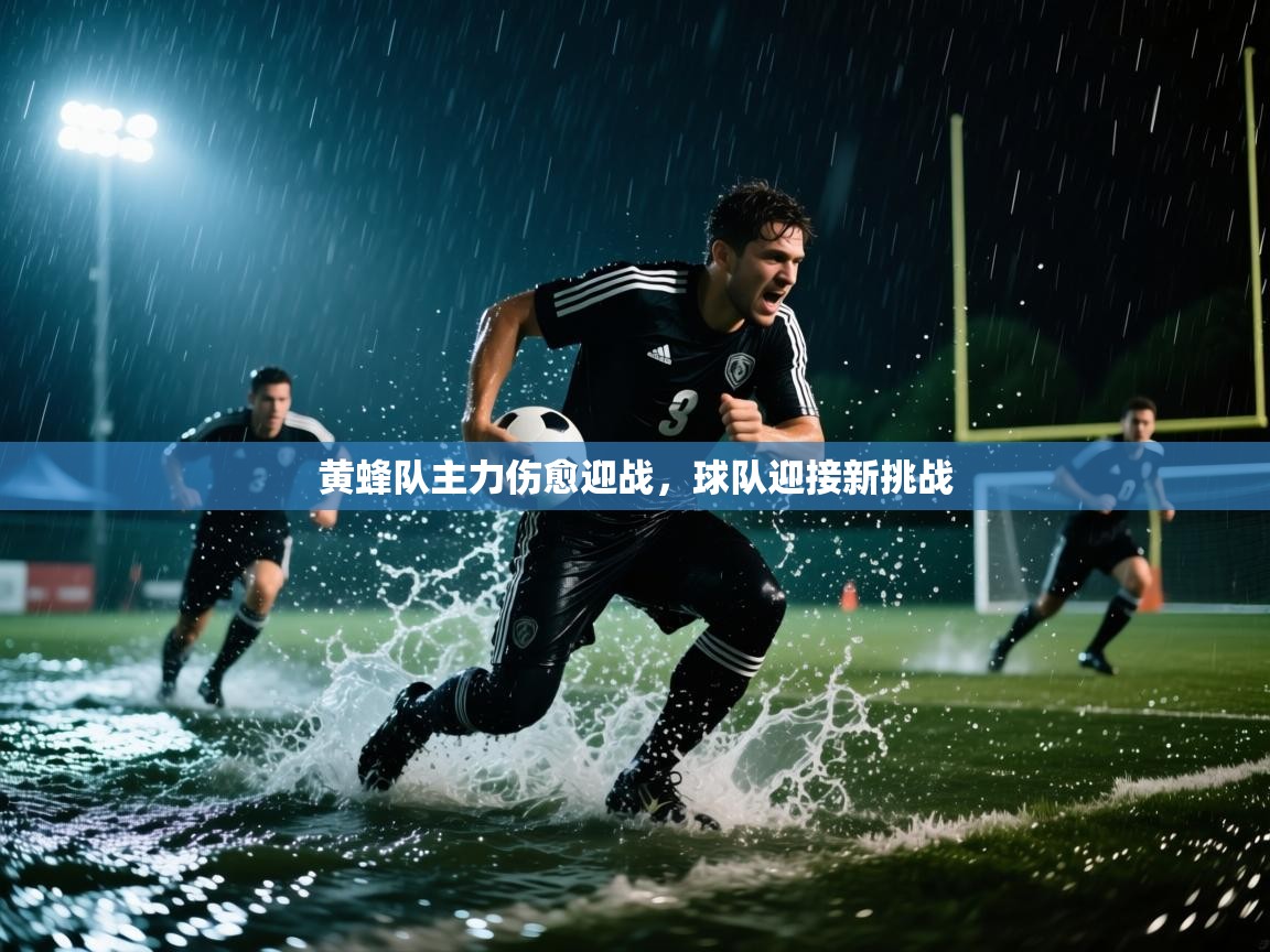 黄蜂队主力伤愈迎战,球队迎接新挑战 第1张