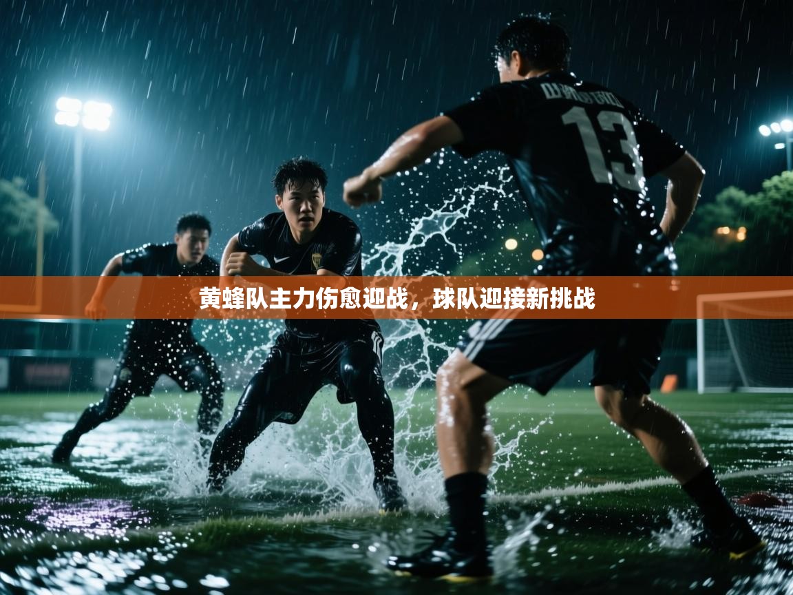 黄蜂队主力伤愈迎战,球队迎接新挑战 第2张