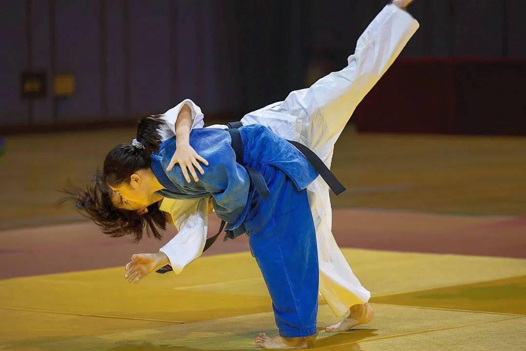 突尼斯代表团在柔道比赛中崭露头角 突尼斯代表团在柔道比赛中崭露头角