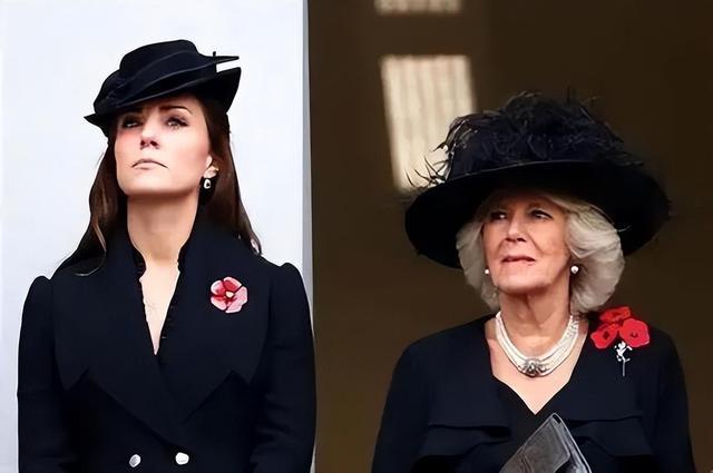 开云体育官网入口-篮网前锋肩伤恢复进展良好，或很快回归赛场的简单介绍