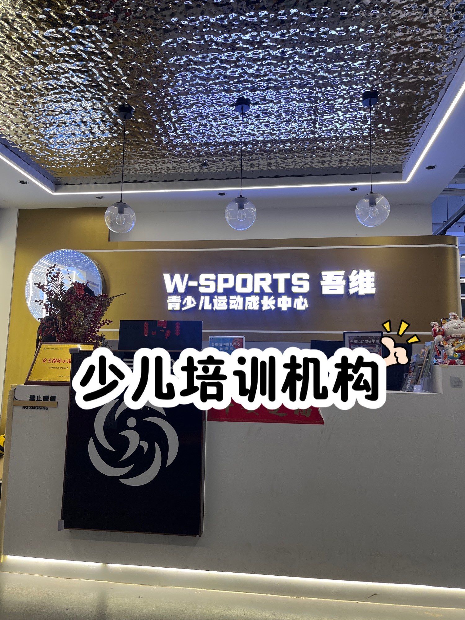 开云体育入口-法国篮球训练营展示新技术，助力球员提高水平的简单介绍