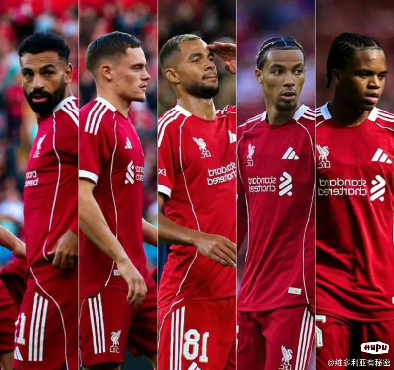 开云体育网页版入口-水晶宫遭利物浦逆转，主场不敌对手的简单介绍